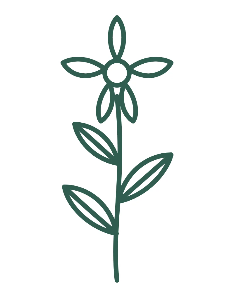 Original art: a line drawing of a flower on a stem with leaves